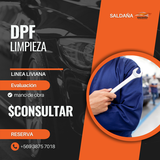 Limpieza de filtro de partículas